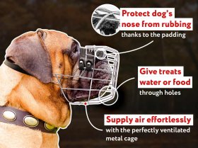 Bullmastiff Basket Muzzle for Everyday Use