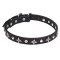 Mastiff Leather Dog Collar with Chrome Plated Stars and Studs