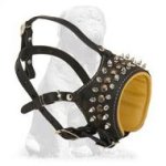 Mastiff Nappa Padded Leather Dog Muzzle with Spikes and Studs