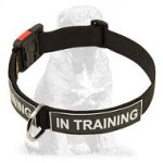 Extra strong nylon collar with patches