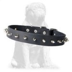 Original leather collar for Mastiff