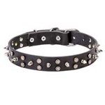 Mastiff Star Decorated Leather Dog Collar
