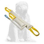 Fire Hose Bite Tugs - Training Set