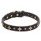 Mastiff Leather Dog Collar with Old Bronze-plated Half-ball Studs and Stars