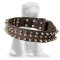 Excellent Spiked and Studded Mastiff Leather Collar