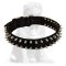 Spiked Nylon Mastiff Collar