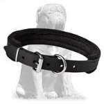 Extra strong training Mastiff collar