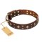 "High Fashion" FDT Artisan Sophisticated Brown Leather Mastiff Collar