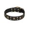 'Jolly Rojer' FDT Artisan Leather Mastiff Collar with Pirate Skulls and Studs - 1 1/2 inch (40 mm) wide