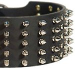 Rich Spiked Leather Dog Collar for Mastiff
