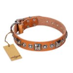 'Era of Future' FDT Artisan Handcrafted Tan Leather Mastiff Dog Collar with Decorations