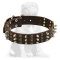 Best Studded and Spiked leather dog collar for big breeds