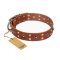 'Silver Elegance' FDT Artisan Tan Leather Mastiff Collar with Old Silver-Like Plated Studs and Cones 1 1/2 inch (40 mm) Wide