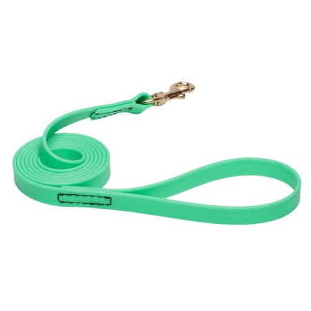 Green Waterproof Mastiff Leash Made of Biothane
