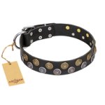 'Romantic Breeze' FDT Artisan Leather Mastiff Collar with Sparkling