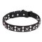 Mastiff Leather Dog Collar with Chrome Plated Fittings