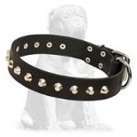 Mastiff Leather Dog Collar with Nickel Plated Pyramids