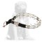 Mastiff Stainless Steel Pinch Prong Collar1/8 inch (3.2 mm)