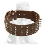 Posh Mastiff Spiked and Studded Collar