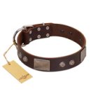 "Stone Stars" Stylish Handmade FDT Artisan Brown Leather Mastiff Collar