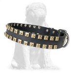 Designer Leather Mastiff Collar with Studs