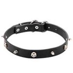 Mastiff Pirate Style Leather Collar with Nickel Plated Spikes and Skulls 1 inch (25 mm) wide