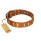"Olive Slice" FDT Artisan Tan Leather Mastiff Collar with Engraved and Smooth Plates