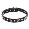 Mastiff Leather Dog Collar with Shiny Nickel Plated Stars and Pyramids