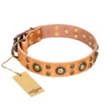 'Sophisticated Glamor' FDT Artisan Mastiff Leather Collar with Old-bronze Plated Decorations