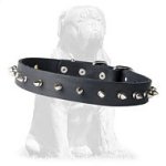 Stylish leather Mastiff collar with steel spikes