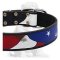 Eye-catching American Pride multifunctional collar