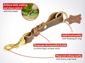 Braided Short Leather Mastiff Leash