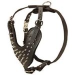 Deluxe Spiked Leather English Mastiff Harness