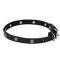 Mastiff Leather Dog Collar with Chrome Plated Engraved Studs