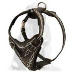 Leather Dog Harness with Wire Painting for Mastiff