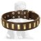 Chic Leather Mastiff Collar with Brass Plates