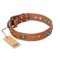 'Stunning Dress' FDT Artisan Tan Leather Mastiff Collar with Old Bronze Look Plates and Studs - 1 1/2 inch (40 mm) wide