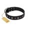 "Polar Lights" Designer FDT Artisan Black Leather Mastiff Collar with Silver-Like Studs
