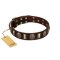 "Skull's Adventure" FDT Artisan Brown Leather Mastiff Collar with Plates and Ovals