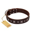 "Stellar Fairy " FDT Artisan Brown Leather Mastiff Collar with Chrome-plated Star-like Decorations