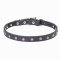 Mastiff Star Studded Leather Dog Collar