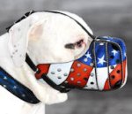 Mastiff Leather Muzzle American Flag Painting