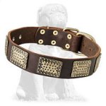 Luxury Leather Dog Collar for Mastiff