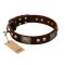"Magic Amulet" Brown Leather Mastiff Collar with Skulls and Plates