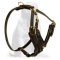 Y-Shaped American Bandogge Dog Harness for Attack/Agitation Training