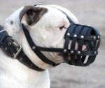 Perfectly designed leather basket muzzle for Argentinian Mastiff