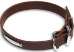 Mastiff Classic Brown collar 22'' /22 inch dog collar -C456