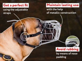Wire Basket dog muzzle for Bullmastiff
