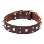Cool Mastiff Leather Dog Collar with Nickel Plated Spikes and Skulls