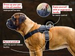 Bullmastiff Nylon Multi-Purpose Dog Harness for Tracking/Pulling